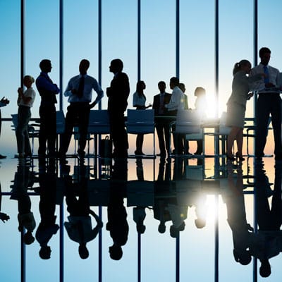 Shareholder Structure